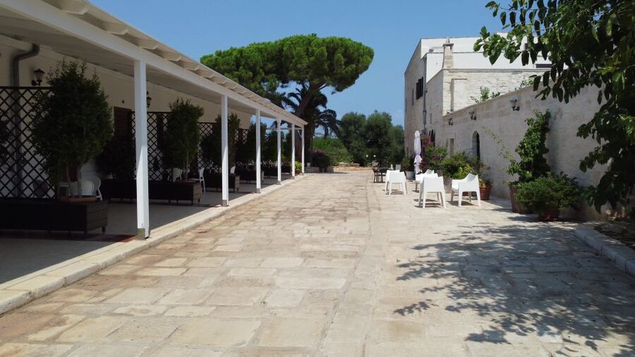 Ostuni: Olive Oil Tasting Tour - The Epigean Mill: The 19th-Century Press Floor Explained