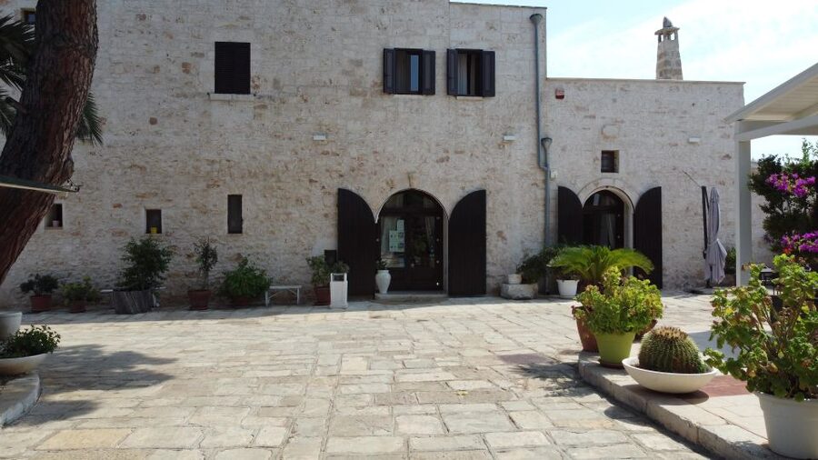 Ostuni: Olive Oil Tasting Tour - Value: Is 53 Dollars Worth It for an Hour?
