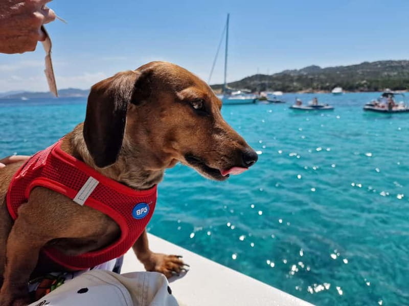 Palau: La Maddalena Archipelago Comfort Boat Tour with Stops - Santo Stefano and Caprera scenic passes: short, but part of the full picture