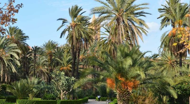 Palermo: Art and Architecture Walking Tour - Key things I’d prioritize on this Palermo tour