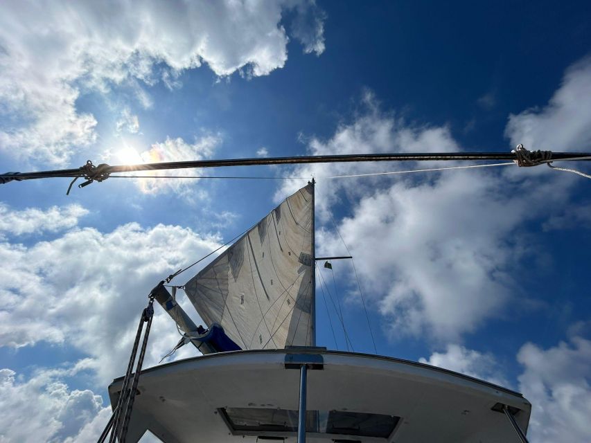 Palermo: Full-Day Snorkeling Boat Tour with Lunch and Wine - Addaura snorkeling stop: free time plus real guided help