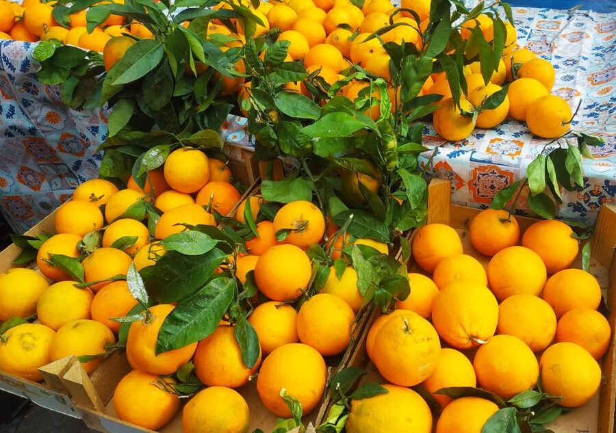 Palermo: Street Food Walking Tour with Local Guide & Tasting - Capo Market: Where You Learn the Language of Snacks