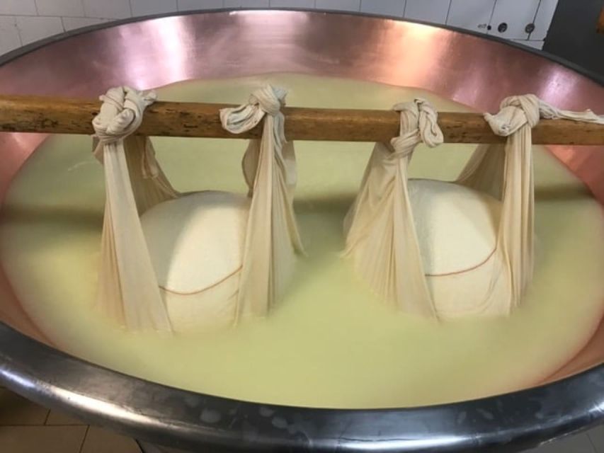 Parma: Parmigiano Production and Parma Ham Tour & Tasting - Prosciutto di Parma in the Hills: Cold Stage, Seasoning Chambers, and Spillatura