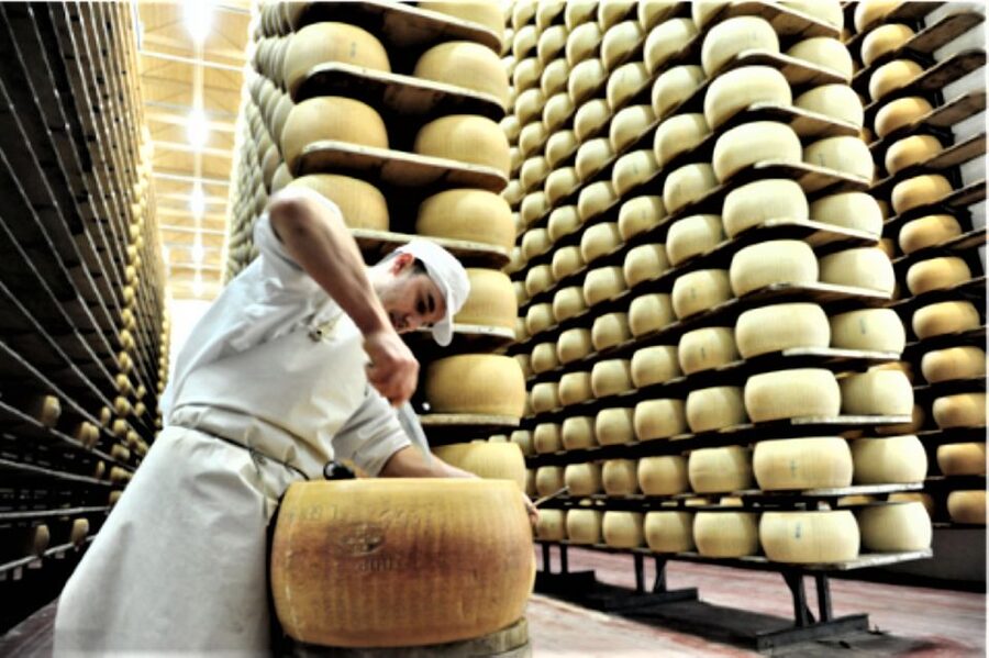 Parma: Parmigiano Production and Parma Ham Tour & Tasting - Value for Money: Why $126.88 Can Be a Good Deal Here