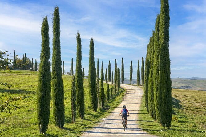 Pisa, Siena and San Gimignano Day Trip with Lunch & Wine Pairing - Lunch and wine at the countryside winery near San Gimignano