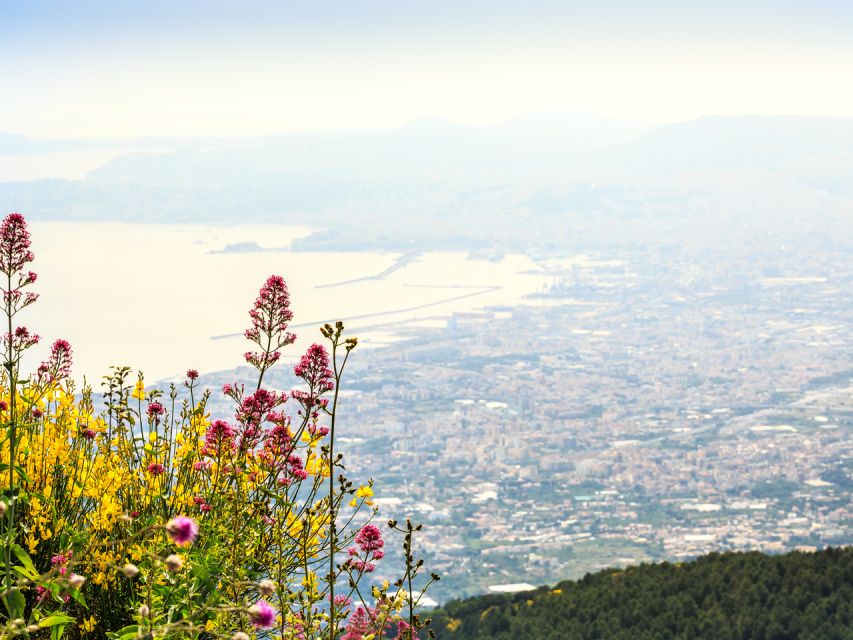 Pompei: Pompeii and Vesuvius Combo with Transfer and Tickets - Price and value: what $97.43 buys you in tickets plus two transfers