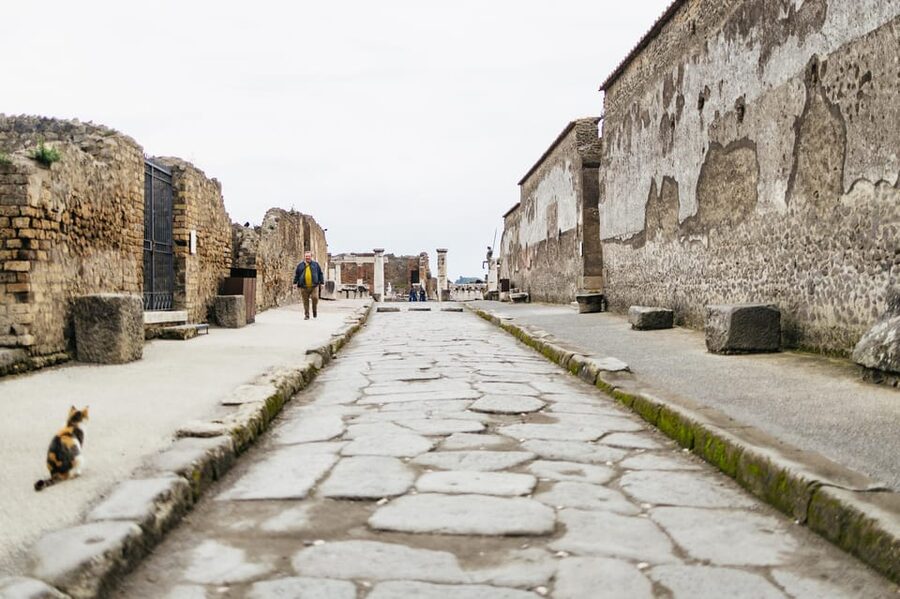 Pompeii: Afternoon to Sunset Guided Tour with Ticket - Pace, group size, and what to pack
