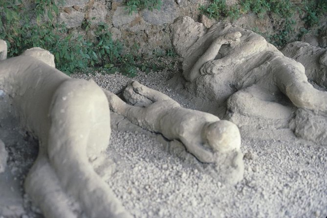 Pompeii and Mount Vesuvius Day Trip from Rome with Pizza Lunch - Vesuvius options: crater hike or geologist-guided walk