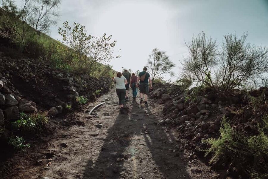 Pompeii and Mount Vesuvius excursion from Naples - Key highlights to know before you go