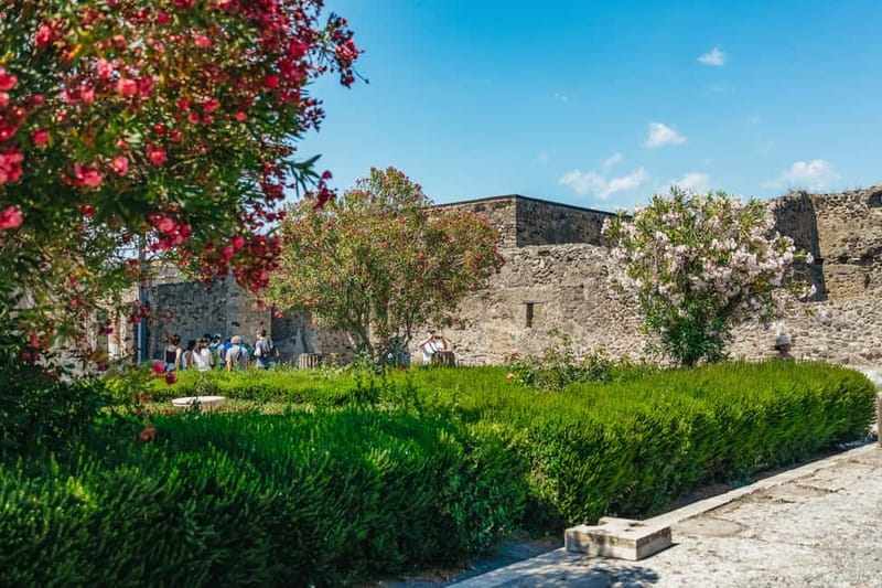 Pompeii: Archaeological Park Tour with Ticket on request - Ticket choices and how the skip works