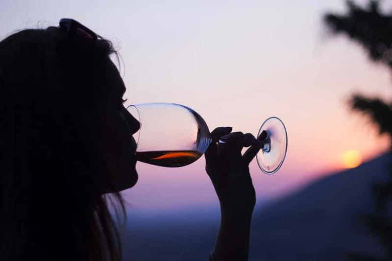Pompeii: Archeological Tour & Wine Tasting at Mt. Vesuvius - Pompeii and Vesuvius in one half-day: the real value