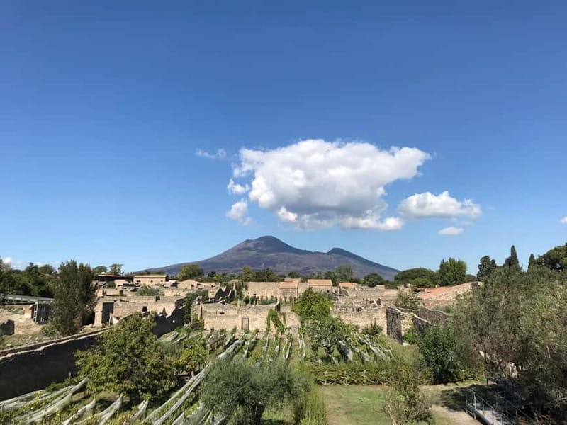 Pompeii: Archeological Tour & Wine Tasting at Mt. Vesuvius - The Pompeii-to-wine timing works, but plan your energy