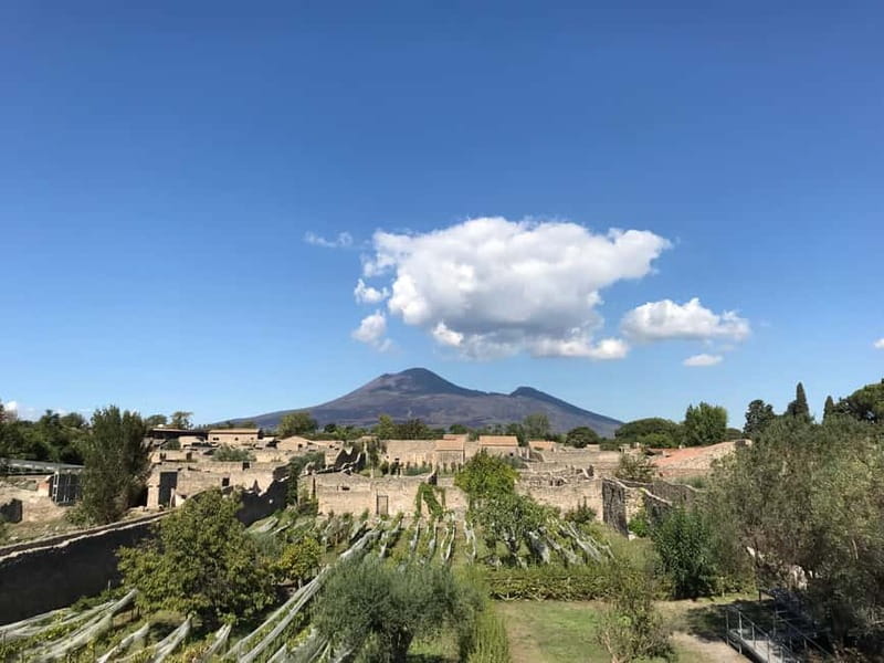 Pompeii: Exclusive Tour with Archaeologist and Entry Tickets - Porta Marina Superiore: where your Pompeii story begins