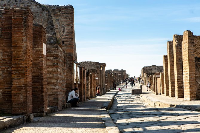 Pompeii & Mt.Vesuvius Day Tour from Naples with Pizza Lunch - Getting From Naples to Pompeii: Pickup Timing and Ticket Chaos You Can’t Control