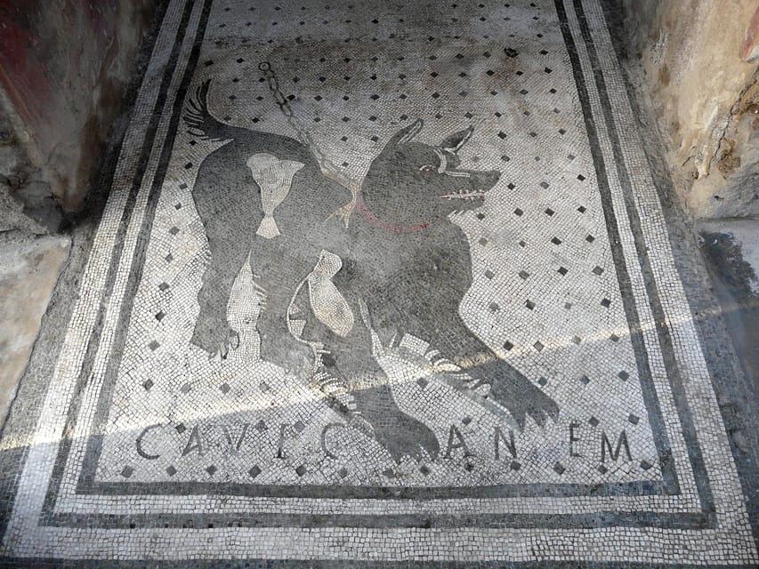 Pompeii: Skip-the-Line Entry & Audioguide - Audioguide and paper map: see more without getting stuck in a crowd