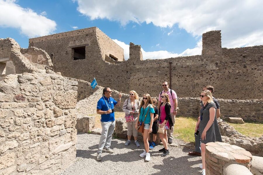 Pompeii: Skip-the-Line Guided Tour - House of the Faun, the “why” behind one famous home