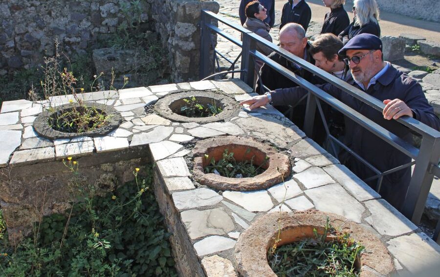 Pompeii: Skip-the-Line Tickets and Tour with Archaeologist - Villas, bathhouses, and daily comfort in 79 AD