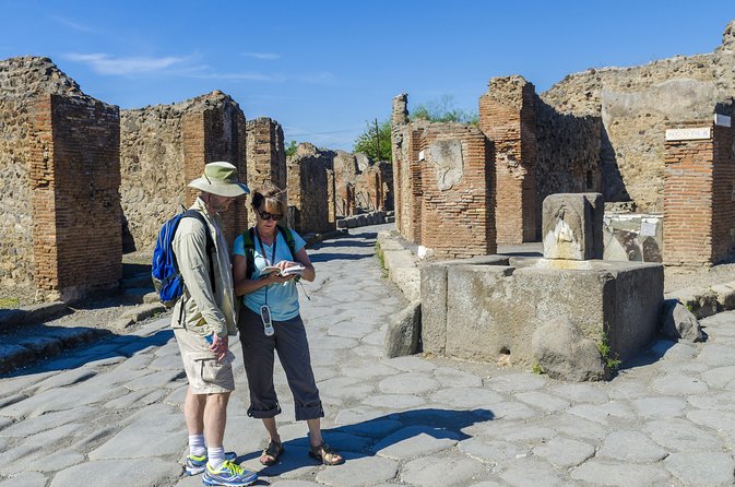 Pompeii Small Group Tour with an Archaeologist - Price and value around $35.67 for a guided foundation