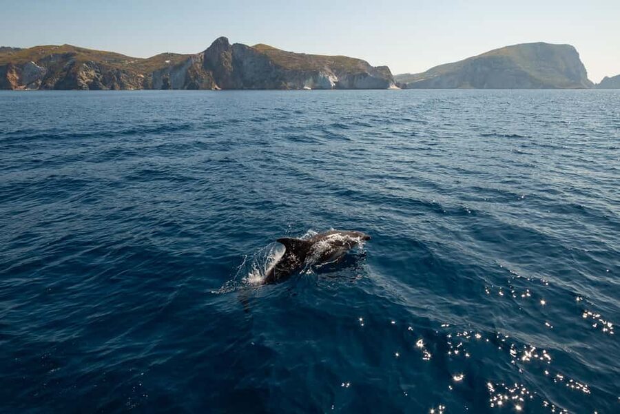 Ponza: Palmarola & Ponza Island Cruise with Swimming & Lunch - From Molo Musco to Capo Bianco, Ponza’s Caves Set the Tone