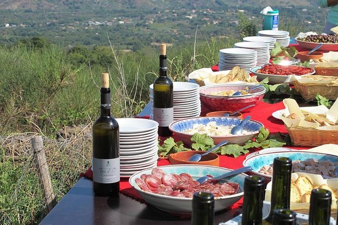 Private 6-Hour Tour of Three Etna Wineries with food&wine tasting - Stop two: up to 4 wines with tagliere and pasta