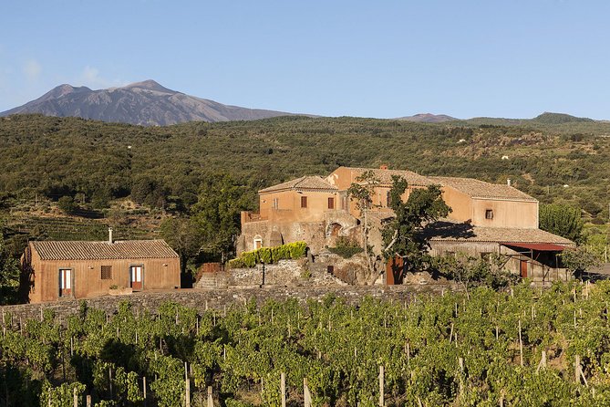 Private 6-Hour Tour of Three Etna Wineries with food&wine tasting - Drinking tips so you enjoy the whole day