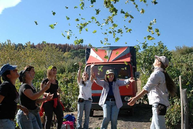 Private 6-Hour Tour of Three Etna Wineries with food&wine tasting - Who this private tour is best for