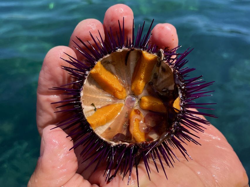 Procida: Boat Tour with Swimming Stops and Underwater Photos - Who This Tour Fits Best