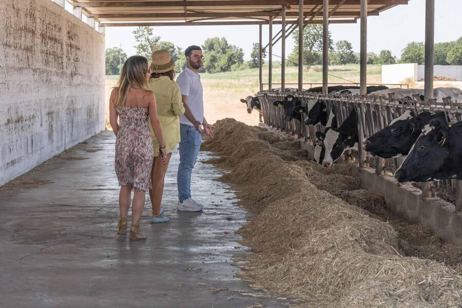 Puglia: Masseria Seppunisi Tour, Cheese, Burrata Tasting - Masseria Seppunisi on the Murge Plateau: what this farm visit really is