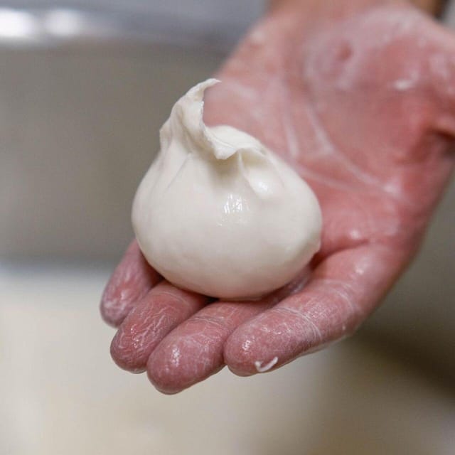 Puglia: Masseria Seppunisi Tour, Cheese, Burrata Tasting - Making mozzarella and burrata by hand: what you’ll actually do