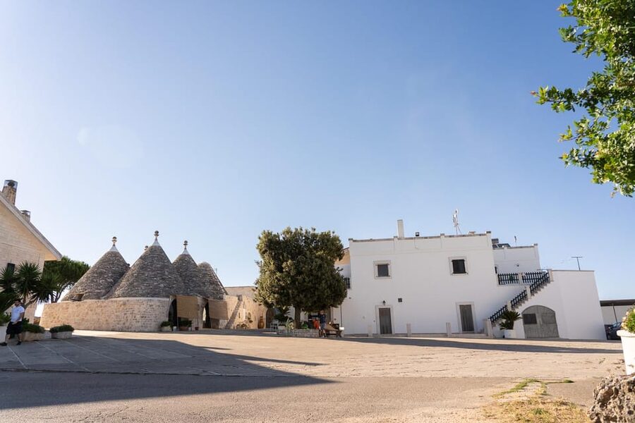 Puglia: Masseria Seppunisi Tour, Cheese, Burrata Tasting - From cowshed to aging rooms: your 2-hour flow