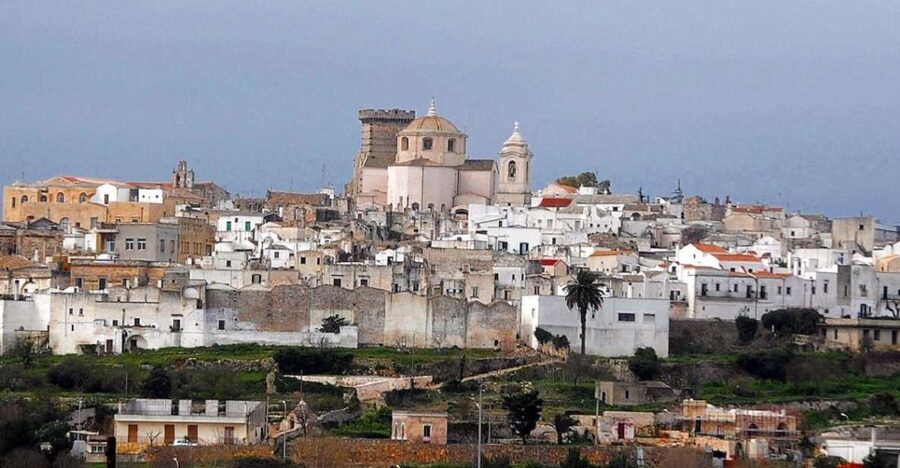 Puglia: Mozzarella Experience at an Apulian Farm - The milking parlor and stables tour: how farm routine drives quality