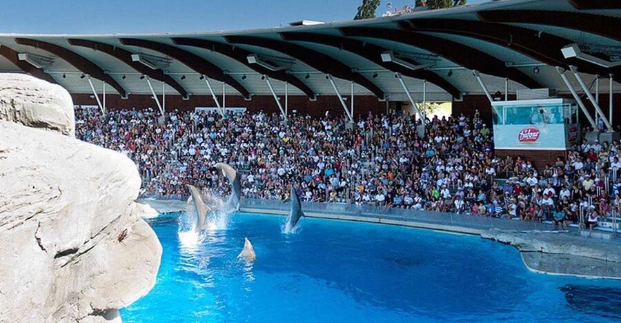 Riccione: Oltremare Park Entrance Ticket - The Dolphin Lagoon show, Europe’s largest dolphin lagoon moment