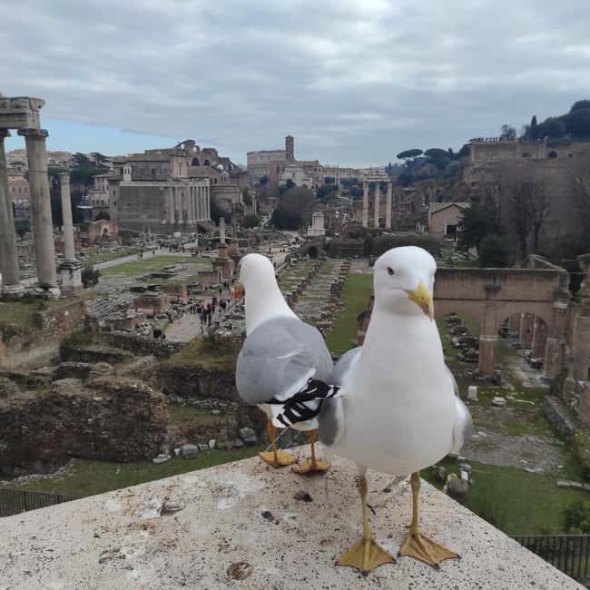 Rome: 4-Hour Private Tour with Driver - From piazzas to ice cream: small breaks that keep the day enjoyable