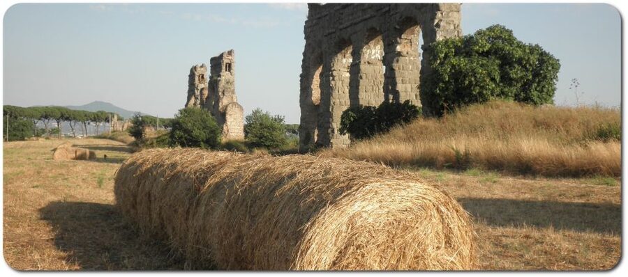 Rome: Appian Way E-Bike Tour Catacombs, Aqueducts & Picnic - Key things I’d circle in your plan