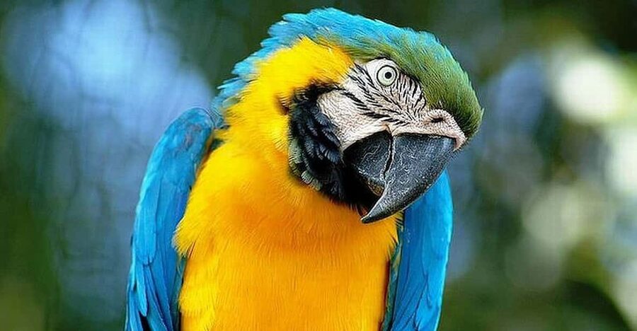 Rome: Bioparco di Roma Zoological Garden Entry Ticket - Reptile House: your best bet for the “wow” moment