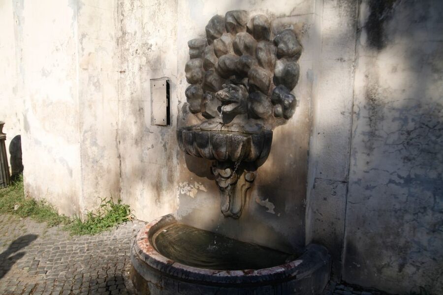 Rome: Borghese Gallery Guided Tour with Skip-the-Line Ticket - What the skip-the-line ticket actually buys you
