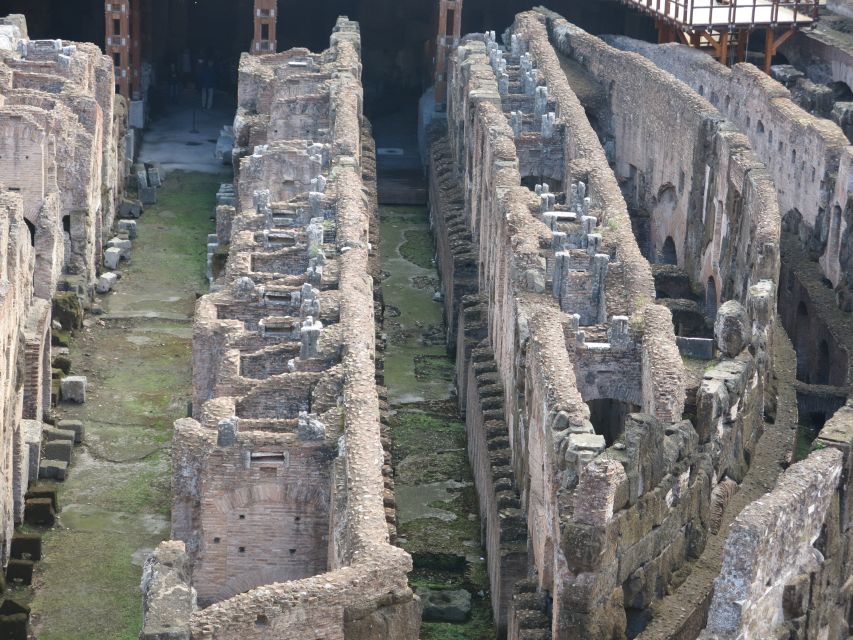 Rome: Colosseum Arena Floor, Roman Forum & Palatine Tour - Arena Floor time: the gladiator-style moment (and its limits)
