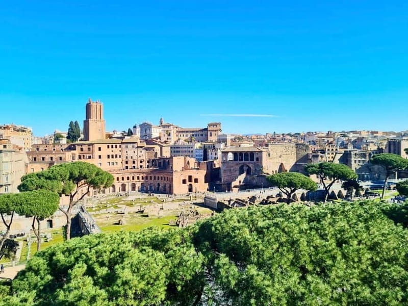 Rome: Colosseum Arena Guided Tour, Forum & Palatine Option - Where You Meet, How You Find the Group, What to Do First