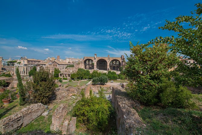 Rome: Colosseum Arena, Roman Forum & Palatine Hill Tour - Roman Forum: political power, backstabbing, and key ruins