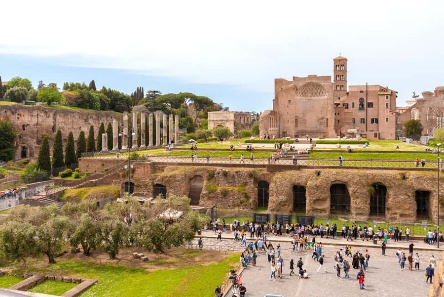 Rome: Colosseum, Forum, and Palatine Tour - Quick photo stops: Arch of Constantine and Arch of Titus