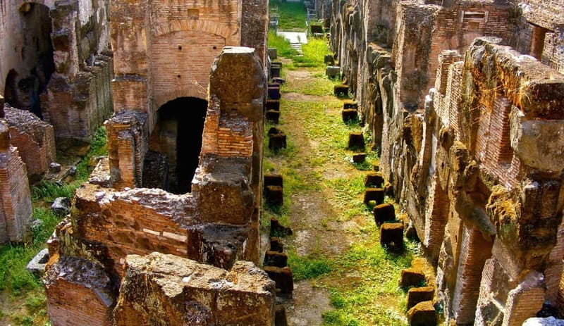 Rome: Colosseum Gladiator's Arena and Roman Forum Tour - Palatine Hill: great views, rocky footing, real steps