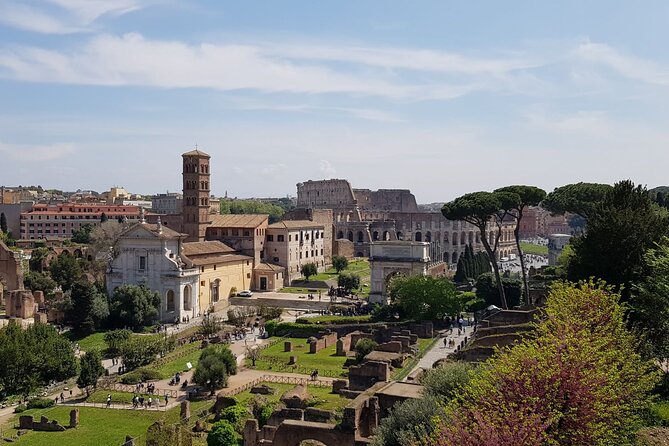 Rome: Colosseum, Palatine Hill and Roman Forum Guided Tour - Arch of Constantine and Arch of Titus: short stops with big payoff