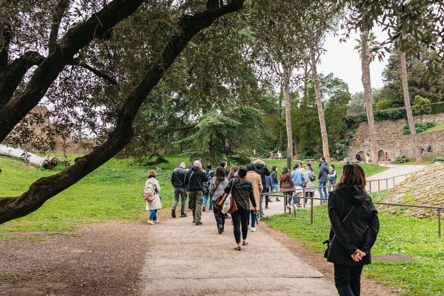 Rome: Colosseum, Palatine Hill & Roman Forum Guided Tour - Key things to know before you go