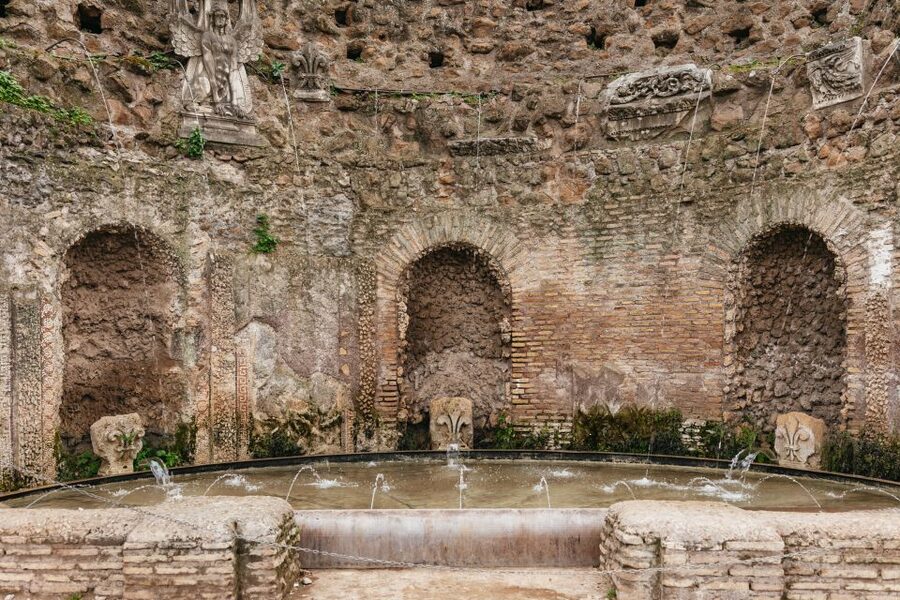 Rome: Colosseum, Palatine Hill & Roman Forum Guided Tour - What to bring (and what will get left behind)