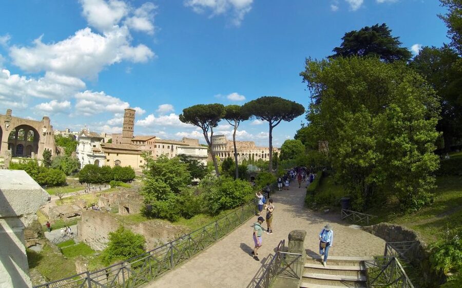 Rome: Colosseum, Roman Forum, and Palatine Hill Tour - After the tour: using your free time at your own pace