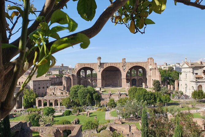 Rome: Colosseum, Roman Forum & Palatine Hill Experience - Arena Floor vs Colosseum Underground, Choose Your Kind of Wow
