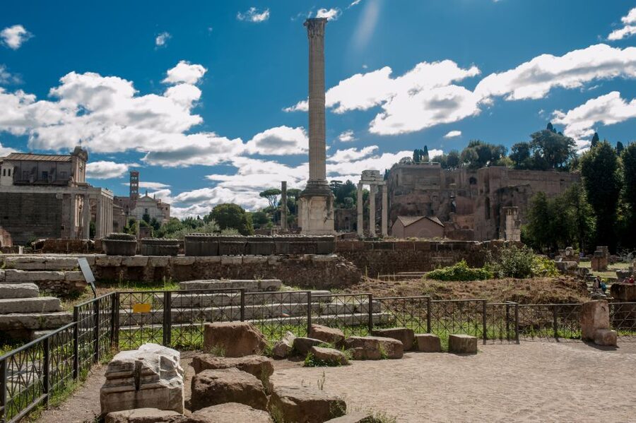 Rome: Colosseum, Roman Forum & Palatine Hill Tour - Palatine Hill: Romulus, Elite Houses, and Imperial Views