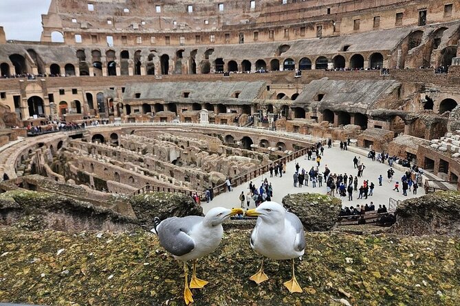Rome: Colosseum, Roman Forum & Palatine Hill Visit + Audio Guide - Value for $21.69, What You Pay For Beyond the Admission