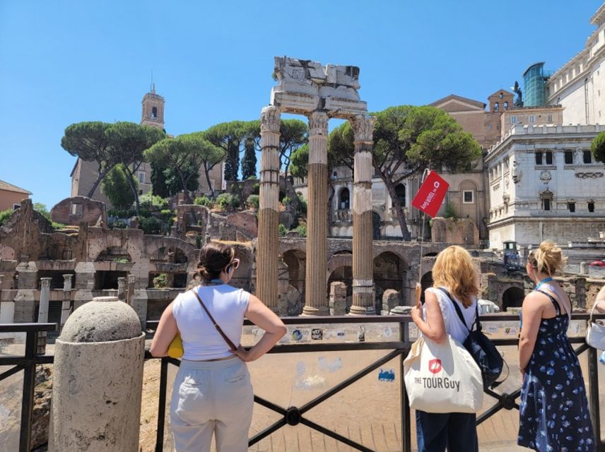 Rome: Full-Day Colosseum, Vatican Museums & City Center Tour - Piazza Navona and the Pantheon area, Rome at street level
