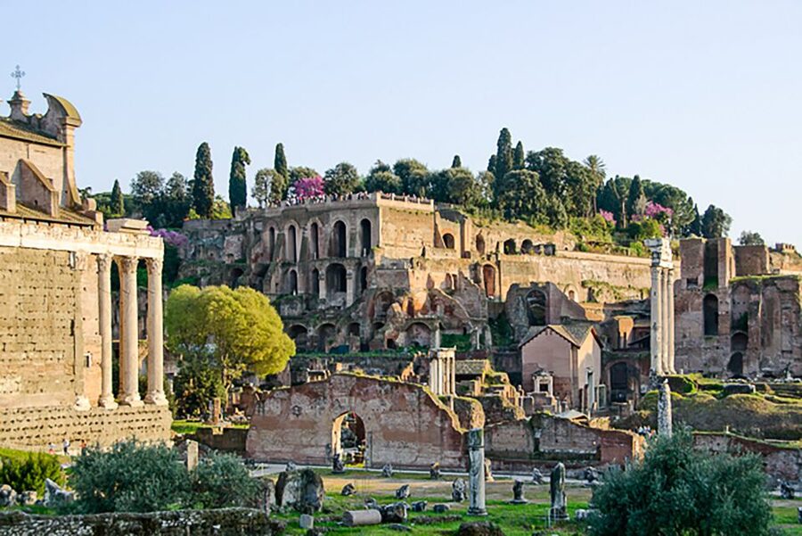 Rome: Guided Tour of Colosseum, Roman Forum & Palatine Hill - The Colosseum Experience: How the Guide Changes Everything